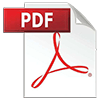 PDF LOGO 100
